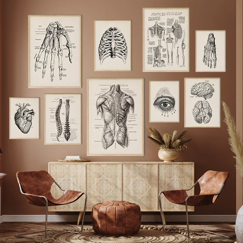 Vintage Human Anatomy Artwork Medical Wall Picture Muscle Skeleton Poster Canvas Art Print Education Hospital Pharmacy Paintings Vintage Human Anatomy Artwork Medical Wall Picture Muscle Skeleton Poster Canvas Art Print Education Hospital Pharmacy Paintings